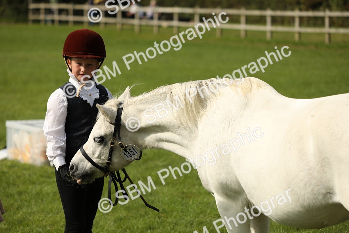 SBM_68671 - S40 - Junior Handler 9-12 Years