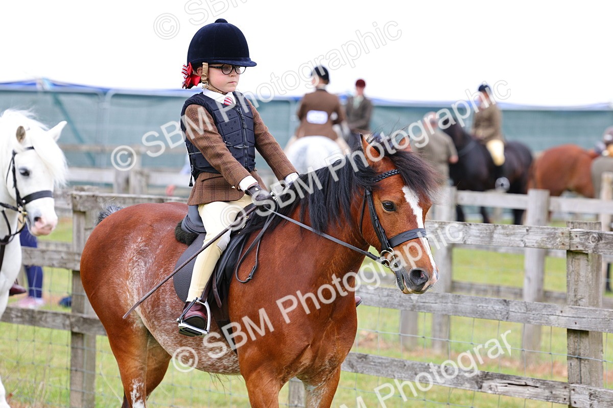 SBM_08438 - Class 42-43 - LIHS BSPS Heritage Working Sports Pony