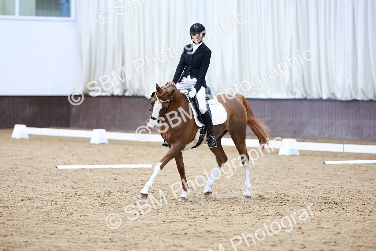 0B8A8085 - Class 5 - Novice 2