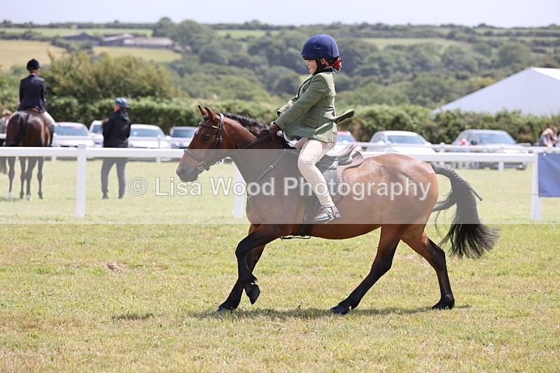 JPP_1814 - Class 18: Tiny Tots Working Hunter Pony