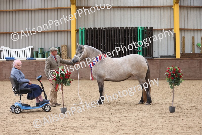 20251109-1242 - Supreme Championship