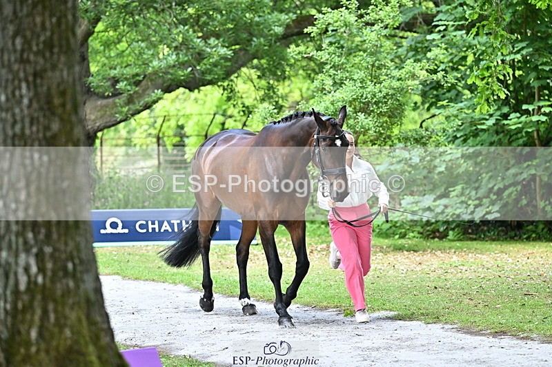 250521A-143724-00123 - A-011-Milly.Assheton-ILEXA