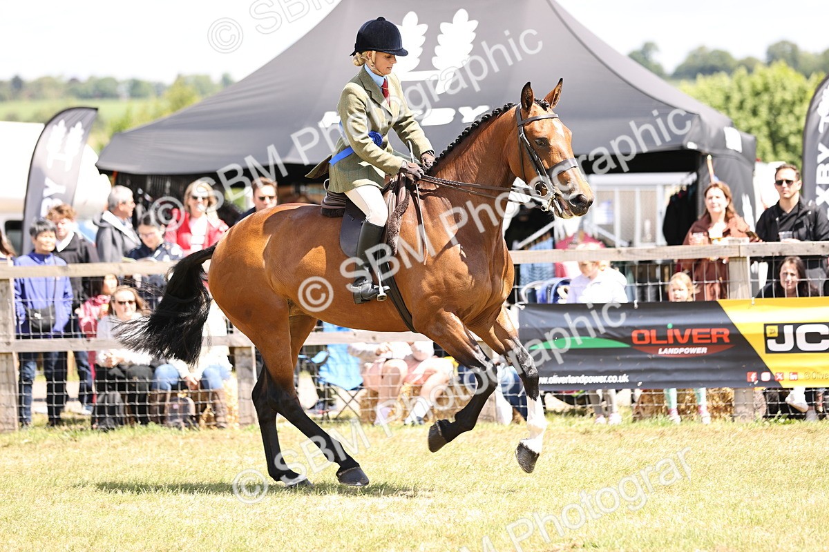 SBM_14764 - Class 88-89 - LIHS BSHA Rising Star of Ridden Hunter Type