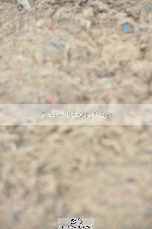 230723A-094902-11006 - Cls 28, 5 Yr Olds 1.10m