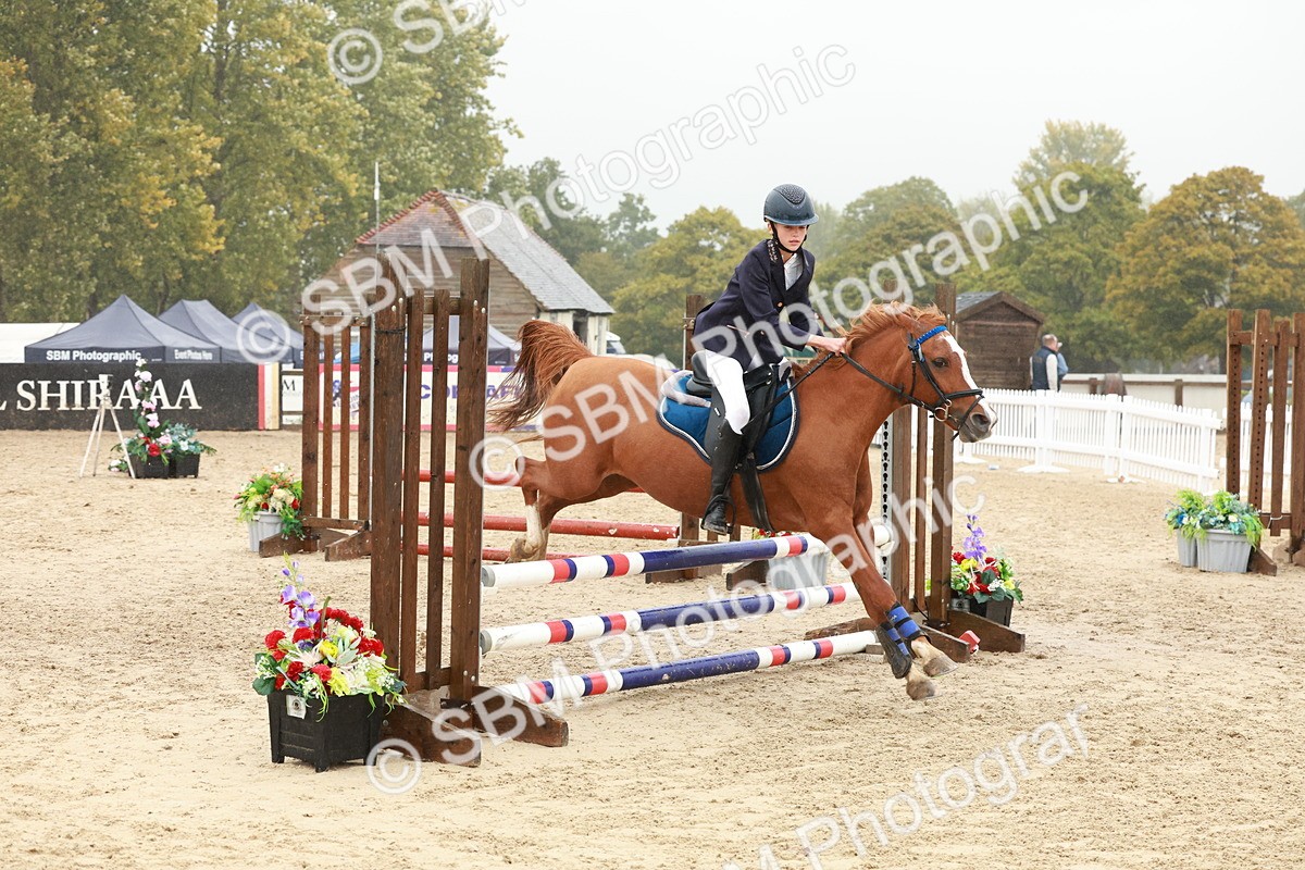 SBM_71429 - J14 - Junior Pony 65cm Championship