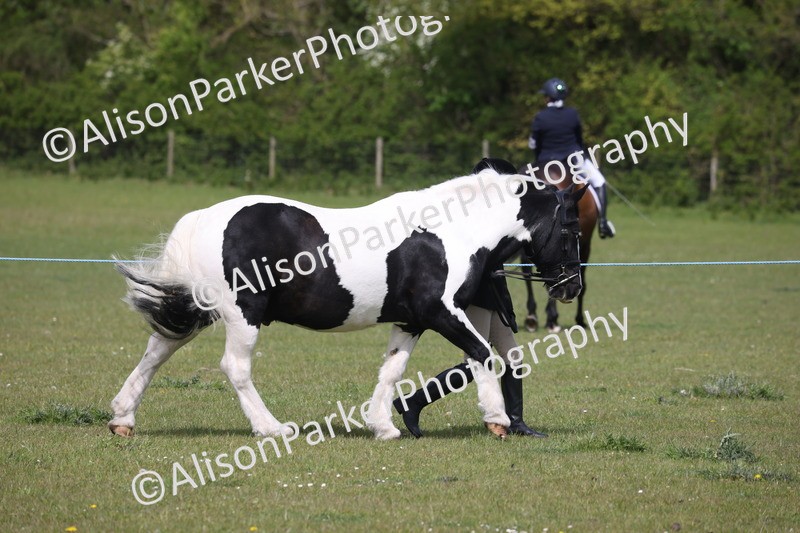 20260426-3265 - Class 27 - Coloured Horses and Ponies