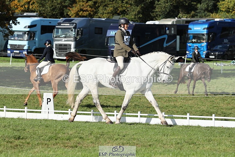 251024A-143643-14239 - G-572-Laura.Pitman With Trot Up