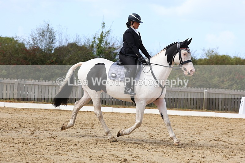 3E7A4064 - Class 9: Novice 6 Section B Championship