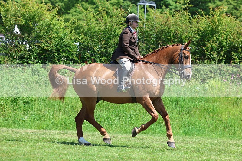 3E7A8263 - Class 13: Ridden Hunter