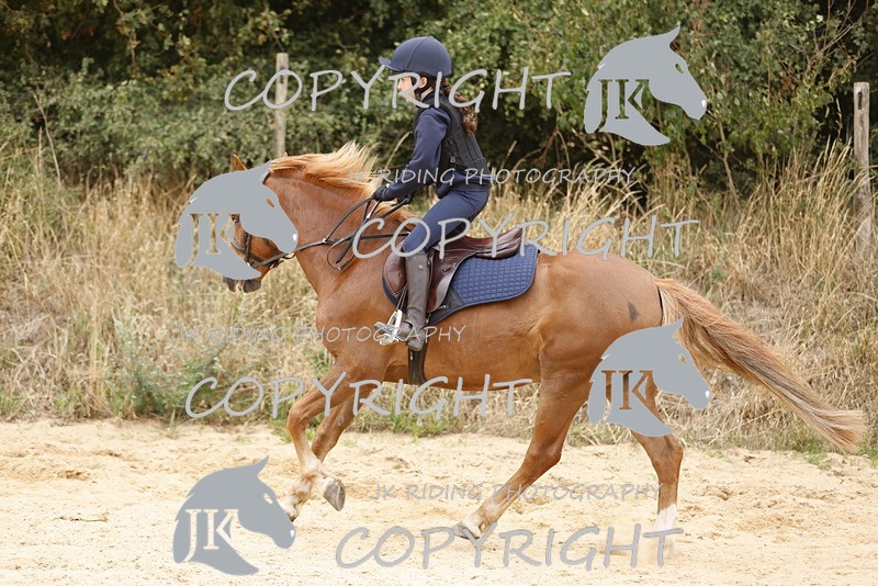 _R6A0933 - Sand arena