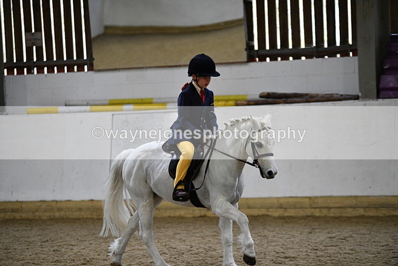 WJ5_7209 - Class 11 Ridden PC - RC Pony