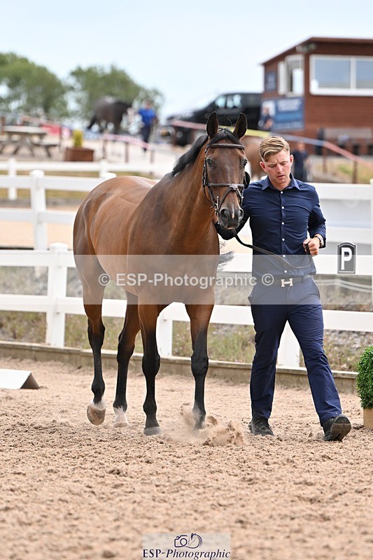 250716-145235-01467 - Trot Up 2.30 to 3.30