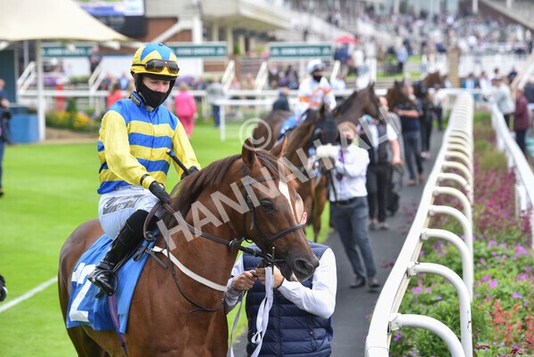 yr10072021r1-6 - Race 1: 1.45pm John Smith's Racing Stakes