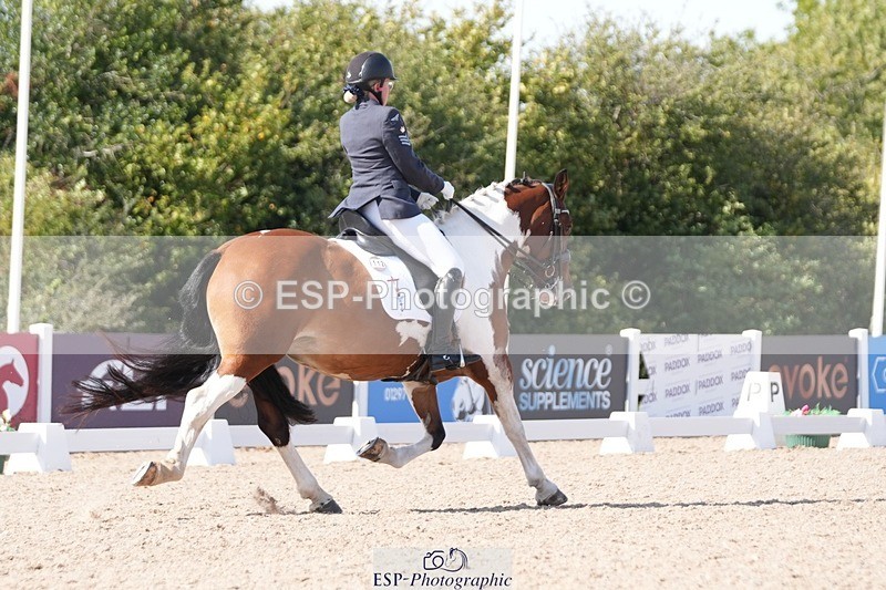 250906-151725-04716 - 112-Mel.DayDolderwydd.lucky.Maisie