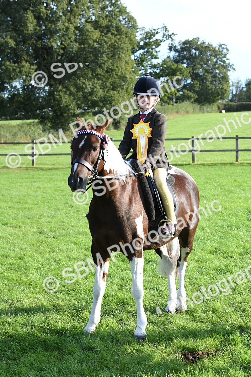 SBM_52442 - S22 - 1st Ridden Show & Show Hunter Pony