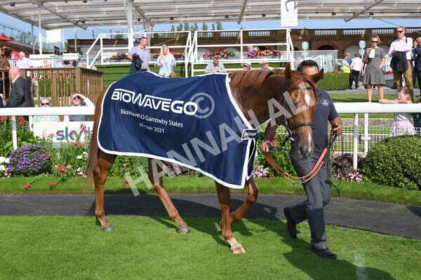 yr05092021r3-30 - Race 3 3.15pm The BioWaveGo Garrowby Stakes