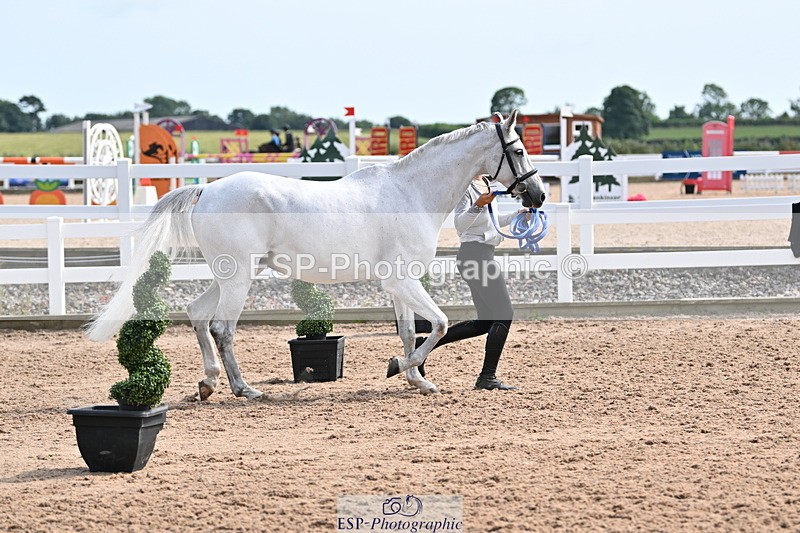 240717A-161409-03366 - Trot Up 4pm to 5pm