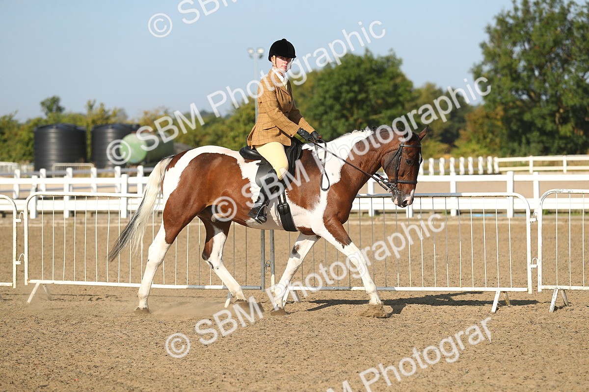 SBM_01123 - Class 42 Ridden Veteran
