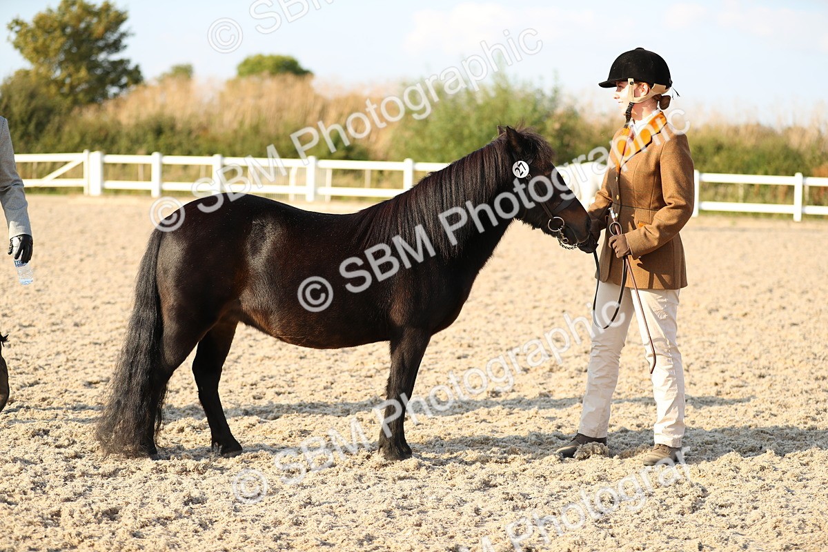 SBM_09029 - Class 29 IH Veteran Pony