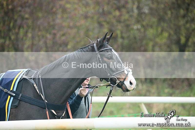 PtP 091124  227 - Knightwick Races Point-to-Point 09/11/24