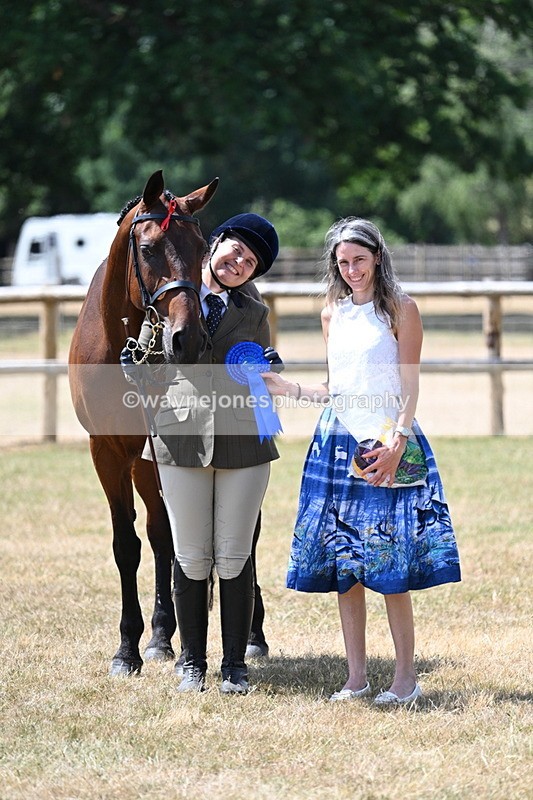 WJ7_2033 - Class 4a Prettiest Mare 14.2hh and over hand