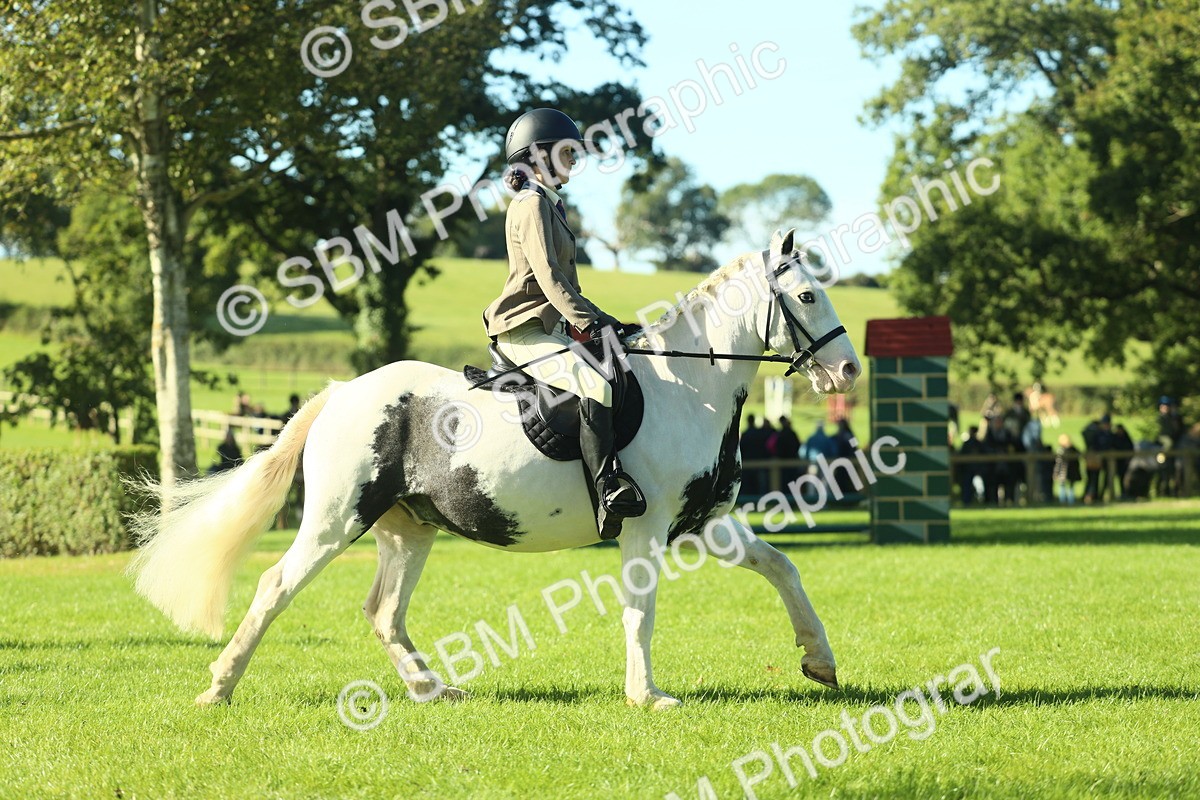 SBM_36438 - S29 - Novice & Newcomers Working Hunter Pony