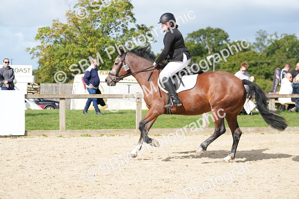 SBM_17771 - J58 - Clear Round 50cm