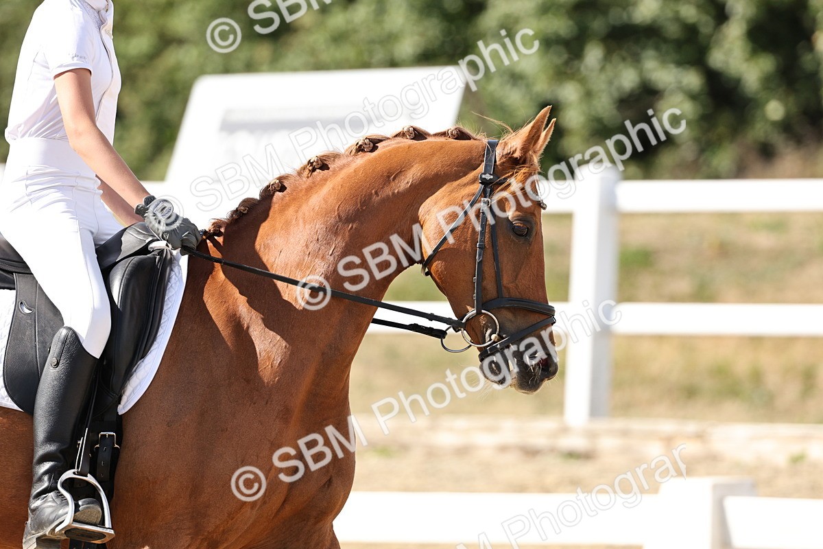 SBM_003996 - Prelim 4 - 16.21-17.31