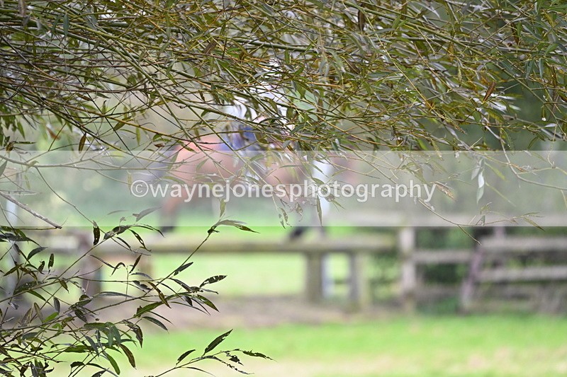 WJ6_7887 - Time at Photographer 13:49 to 14:15