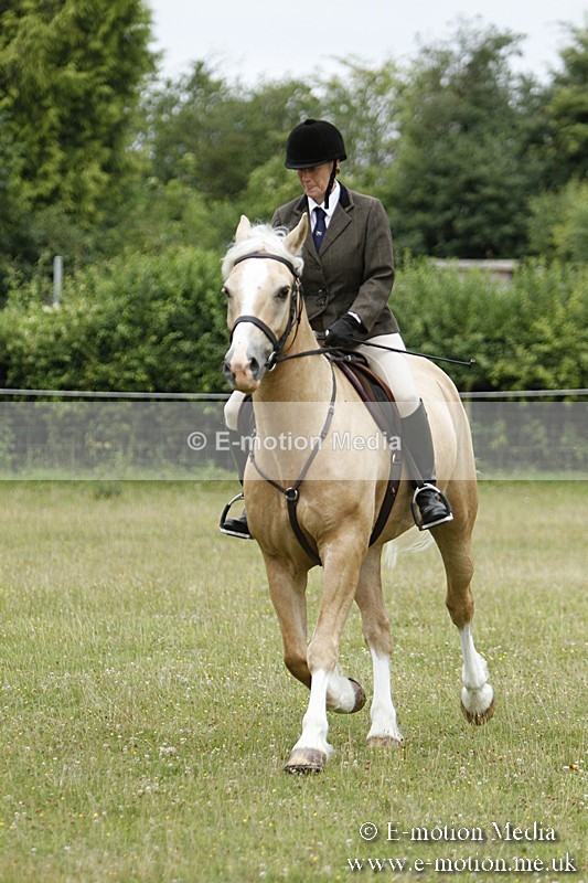 BVR160717-101 - Ring 3 BVRC Show 16/07/17