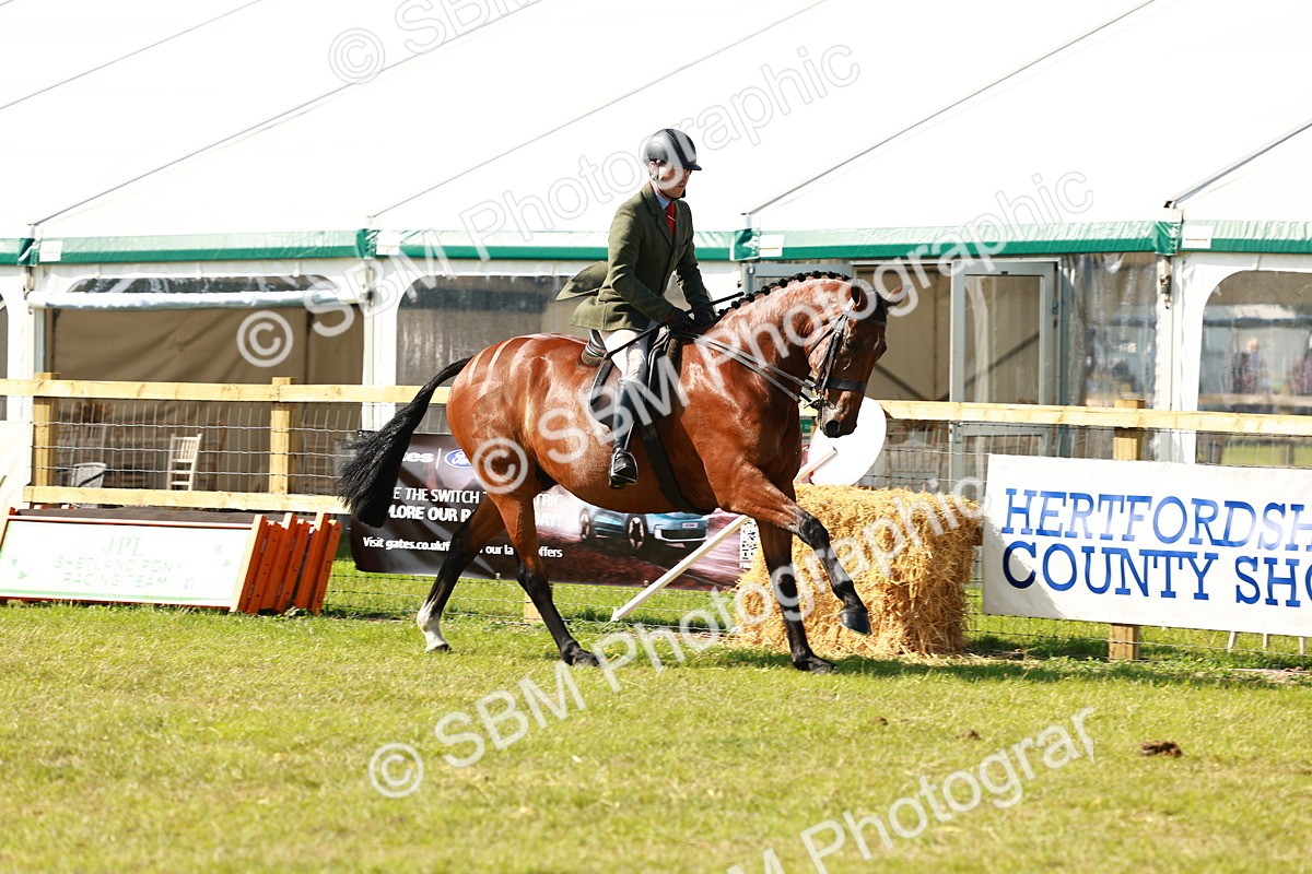SBM_11942 - Class 66-69 - RIHS Ridden Hunters Inc Small Hunter