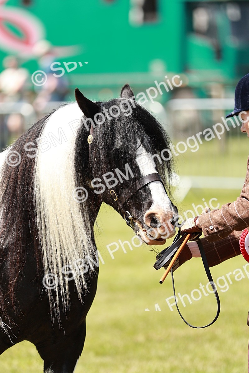 SBM_05504