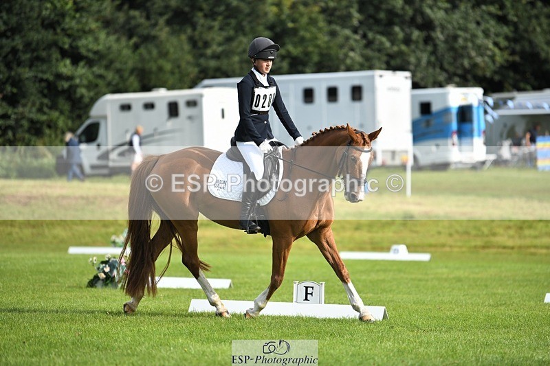 230826-093259-15141 - Sections C & D 9 to 10am