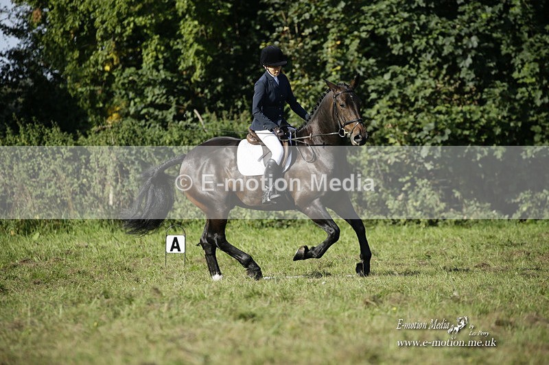 BVRC 120921 142 - Bourne Valley Riding Club UA Dressage & Show Jumping 12/09/21