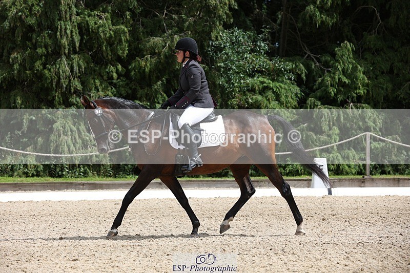 230812-135311-04332 - Cls 5 Novice Bronze 13.40 to 14.45 break