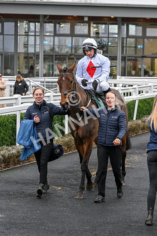 281225-Race 2-Kakas Cousin-0281 - Race 2