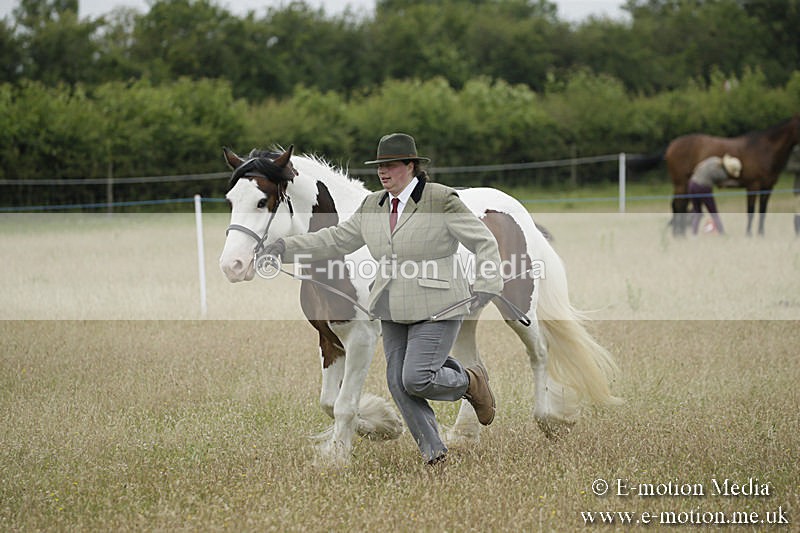 B230619-0746 - Bourne Valley Riding Club Summer Show 23/06/19