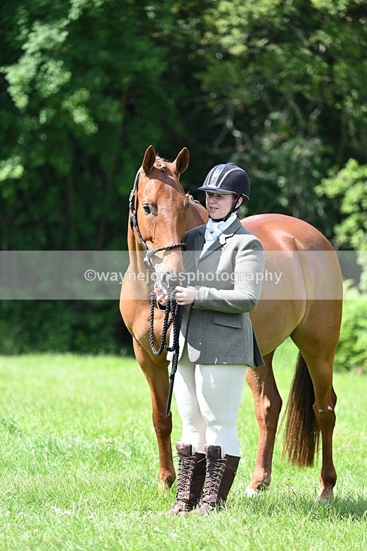 WJ7_1479 - Class 11 Condition & Turnout