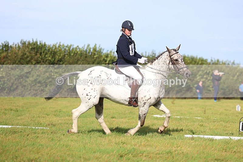 3E7A6030 - Class 1: Trebudannon Open: Dressage (Part 2)