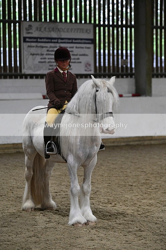 WJ7_3910 - Class 17 Ridden Cob