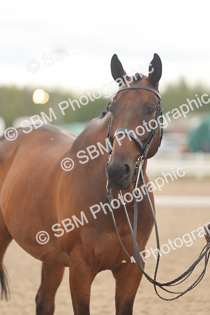 SBM_17154 - Class 313 - IH Retired Racehorse
