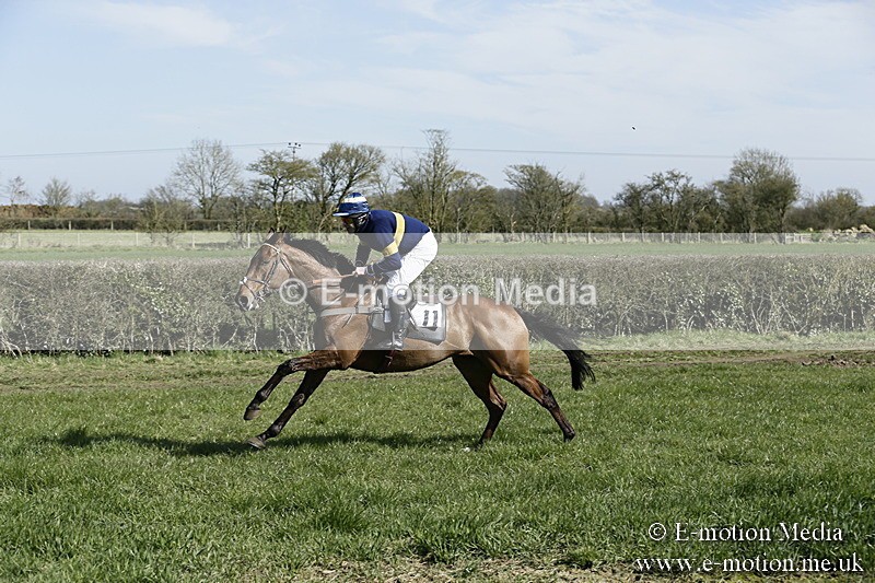 PtP 250317 109 - V.W.H. Hunt Point-to-Point Siddington 25/03/17