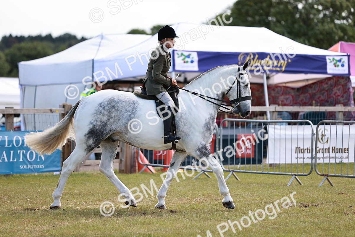 SBM_13996 - Class 85-87 - RIHS Cobs