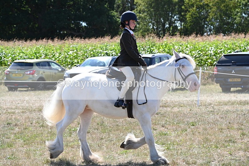 WJ6_8990 - Class 38 Ridden Riding Horse/Pony