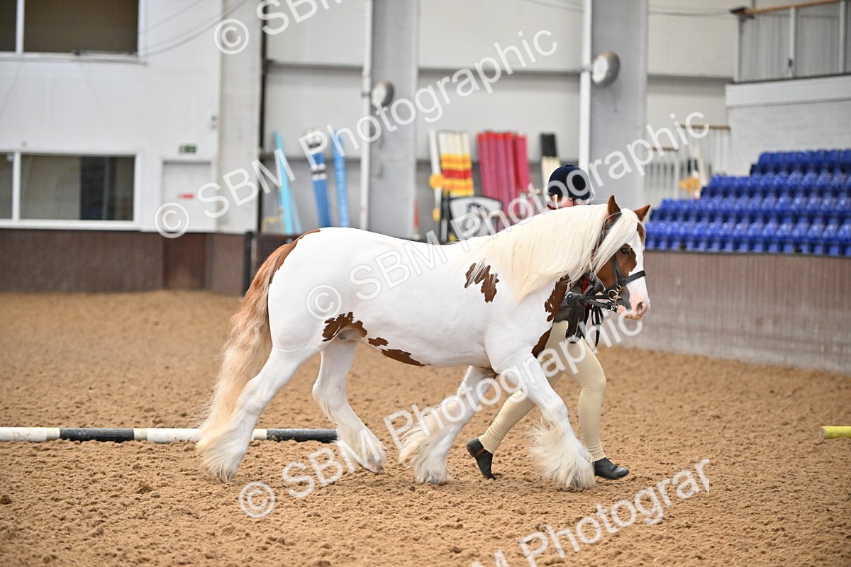 SBM_000055 - Class 1 - In Hand Cob
