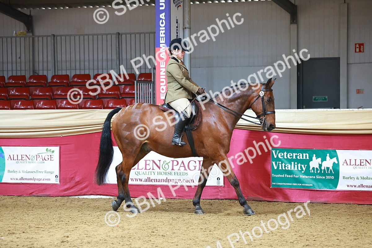 SBM_09355 - Class 102 - HOYS Veteran Qualifier - Ridden Veteran