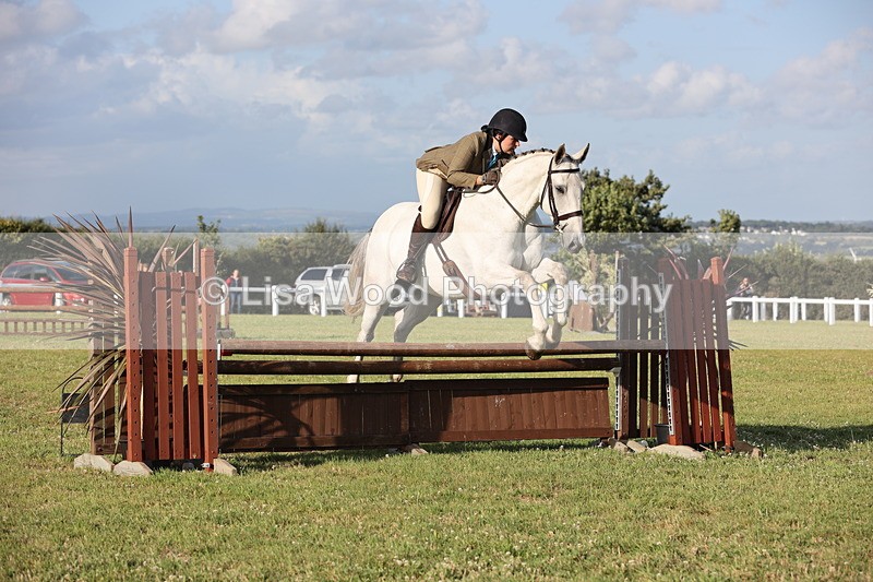 JPP_3472 - Class 22: Working Hunter 90cm