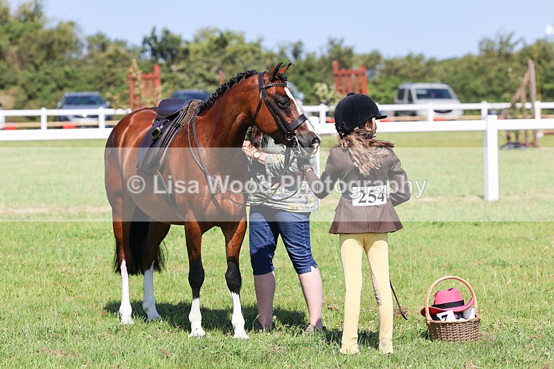 IMG_2051 - Class 34: Show Hunter Pony 153cm and under