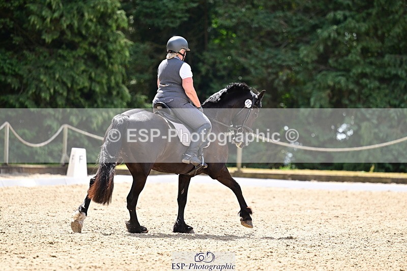 260802A-115542-06010 - Novice Silver break- end