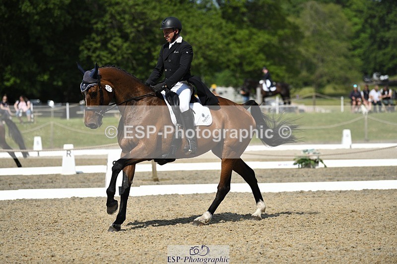 230525-102707-01713 - 312-J'ADORE_SALSA-Michael_Owen-WEDTrotUp+DR